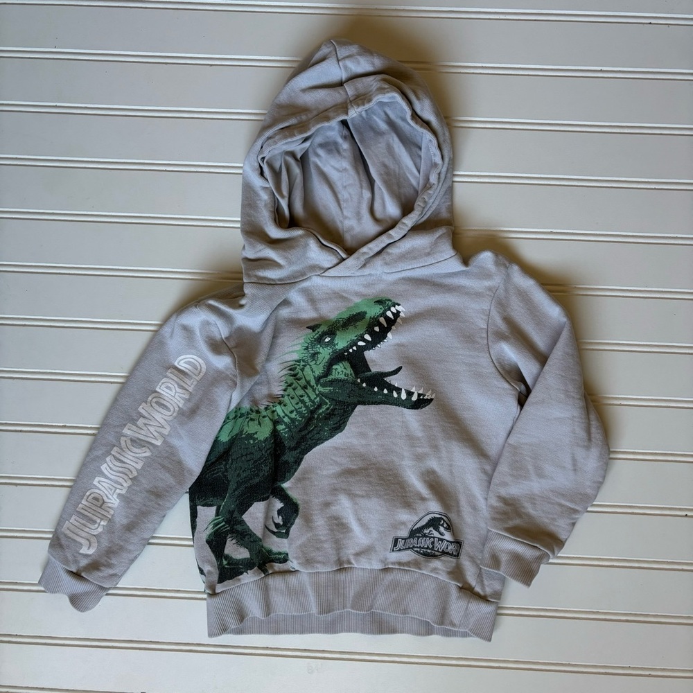 Jurassic World Hoodie 🦖
